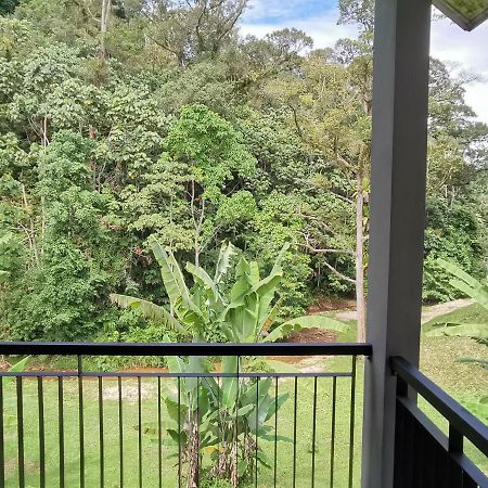 Sementra Hot Spring Nature Resort Gopeng Ngoại thất bức ảnh